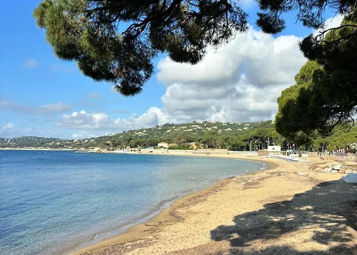 Majorelle Apartman *