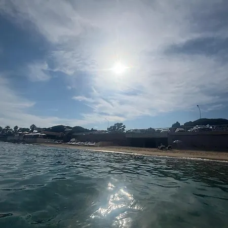 Majorelle * Sainte-Maxime