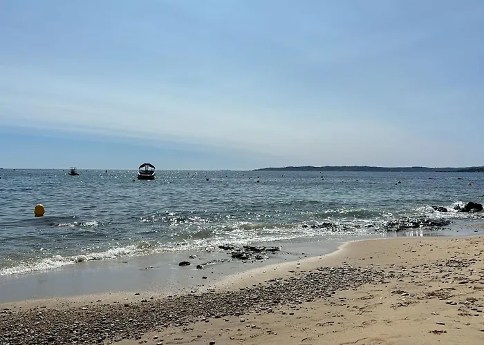 Apartment Majorelle *